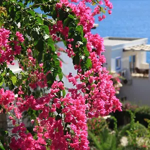 3* Aparthotel Aktur